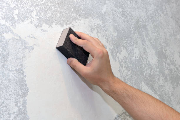Best Black Mold Removal  in Fox Farm College, WY