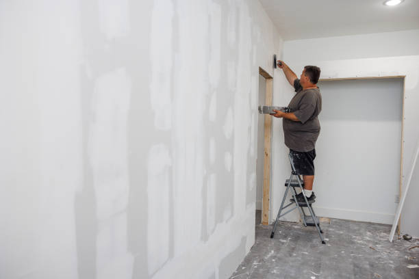 Mold Odor Removal Services in Fox Farm College, WY